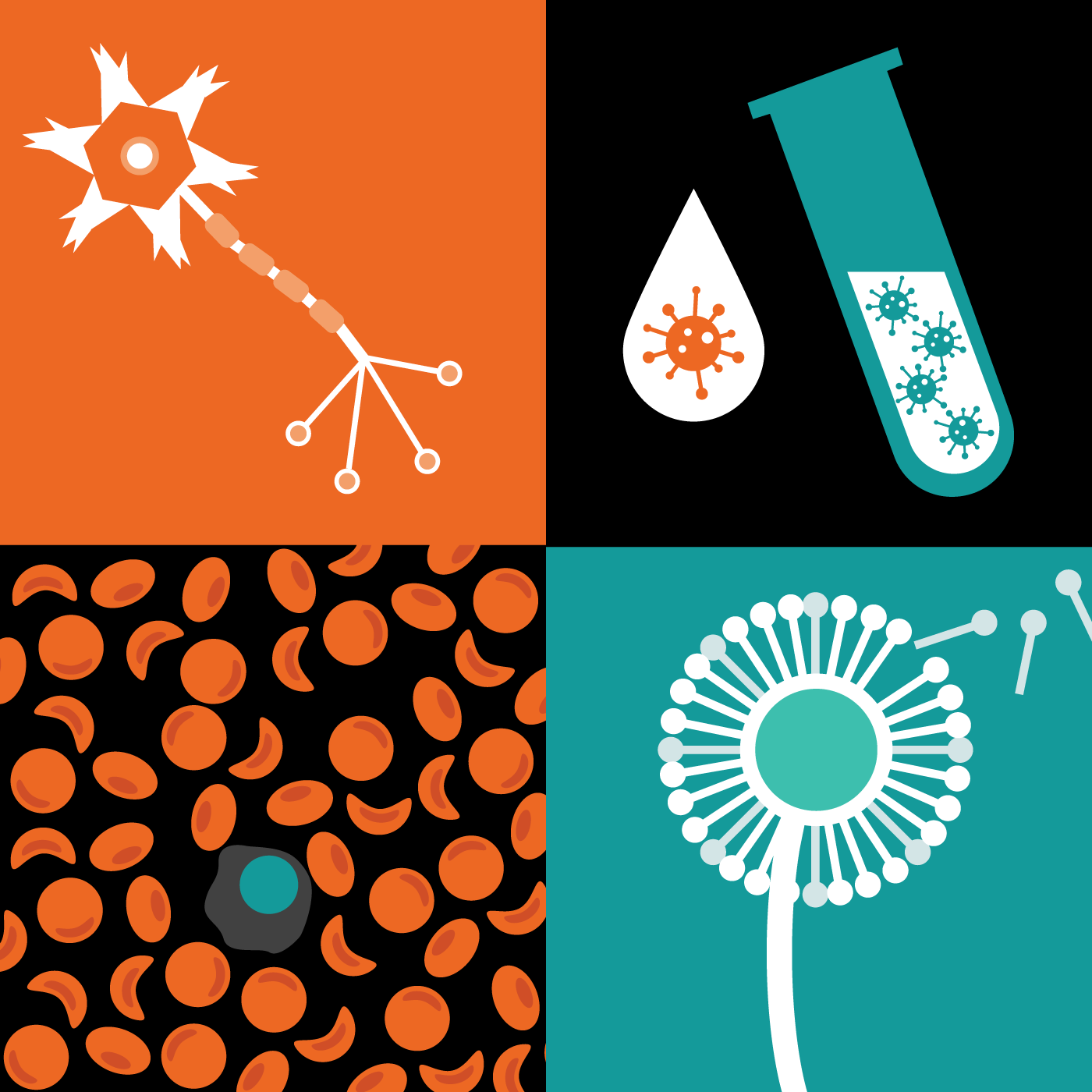 EuroMedLab educational focus