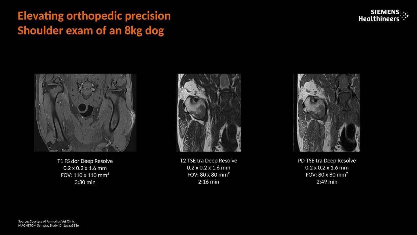 Elevating orthopedic precision. Shoulder exam of an 8kg dog.