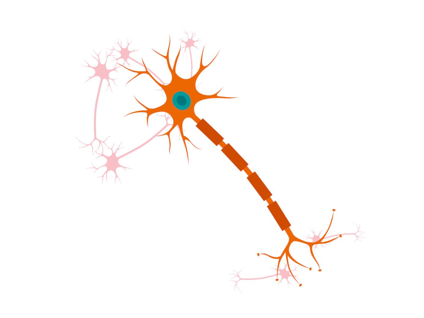 Illustration of healthy neuron with dendrites, axon, and synapses.