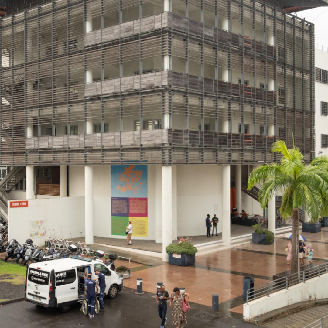 Centre Hospital Universitaire, Reunion Island