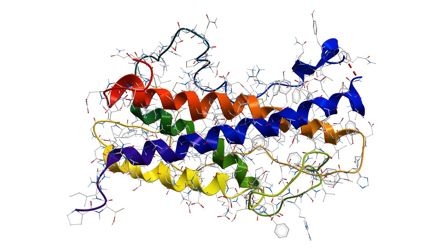 Growth hormone molecule