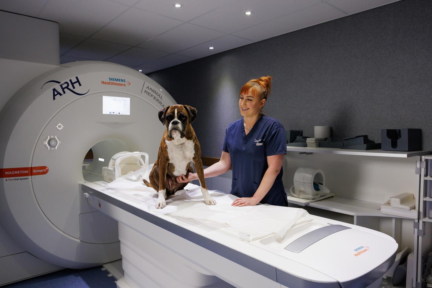 VET MRI
