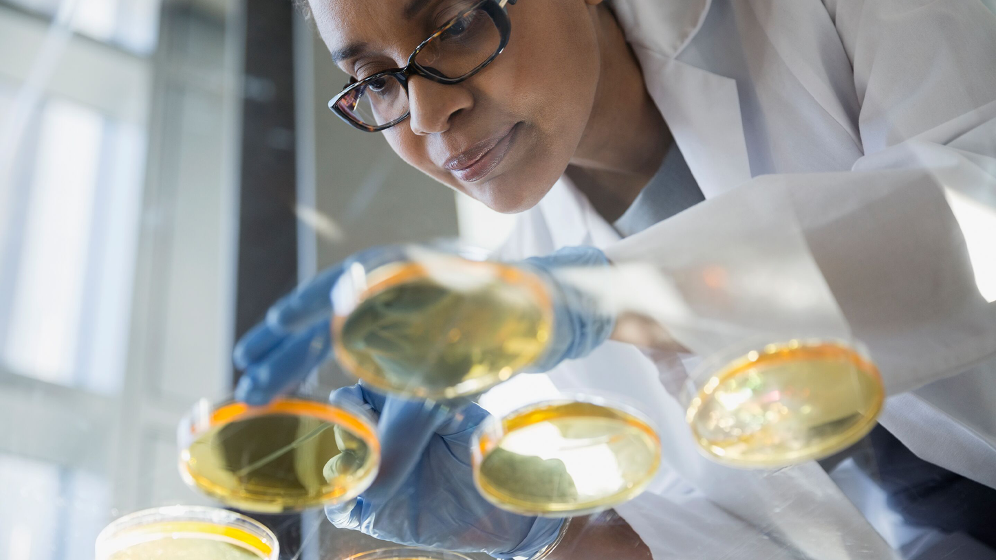 Damos passos ousados