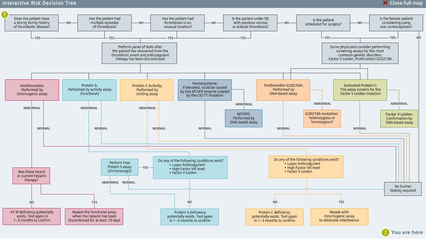 Interactive Thrombosis Risk Decision Tree