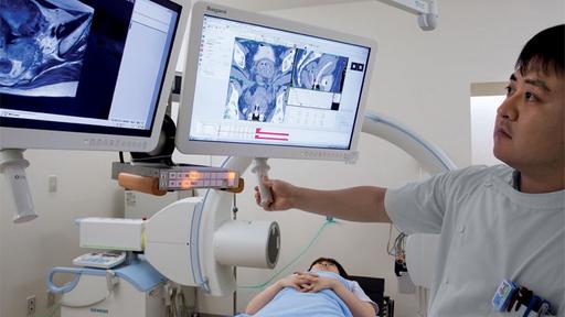 Fighting Cervical Cancer with Image-guided Brachytherapy