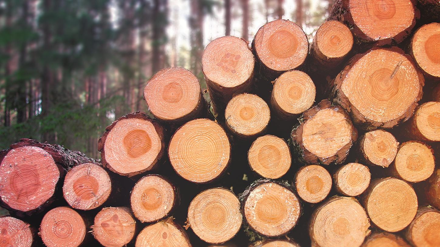 Wood & Furniture Industries