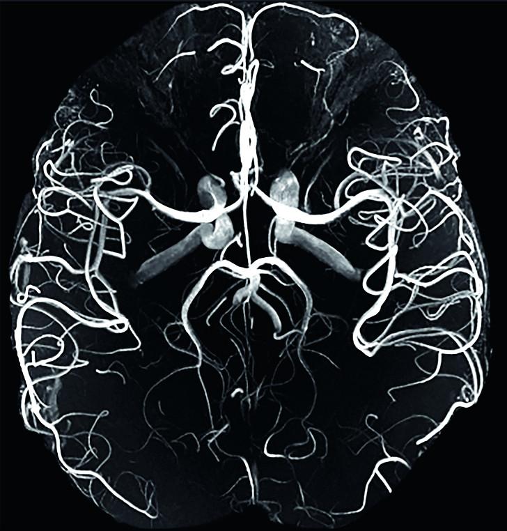 Expert on ultra-high field magnetic resonance imaging from Siemens ...