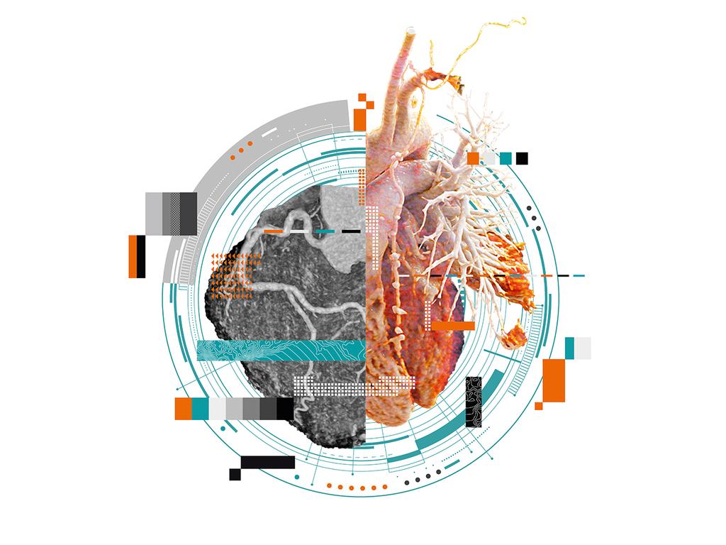 Is Digitalization Driving Innovation or Innovation Digitalization?