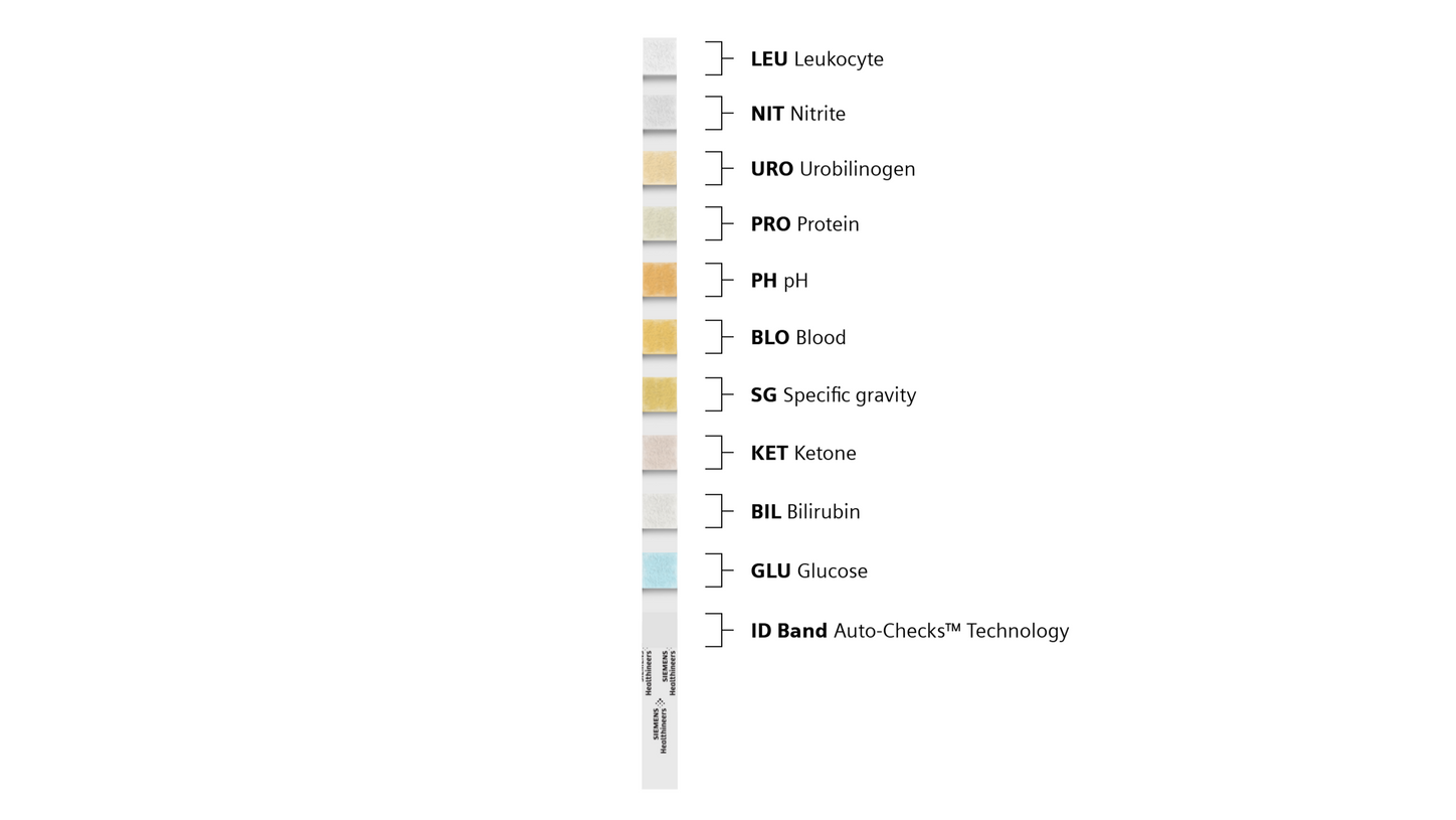 An image of Multistix 10 SG Reagent Strips listing each pad