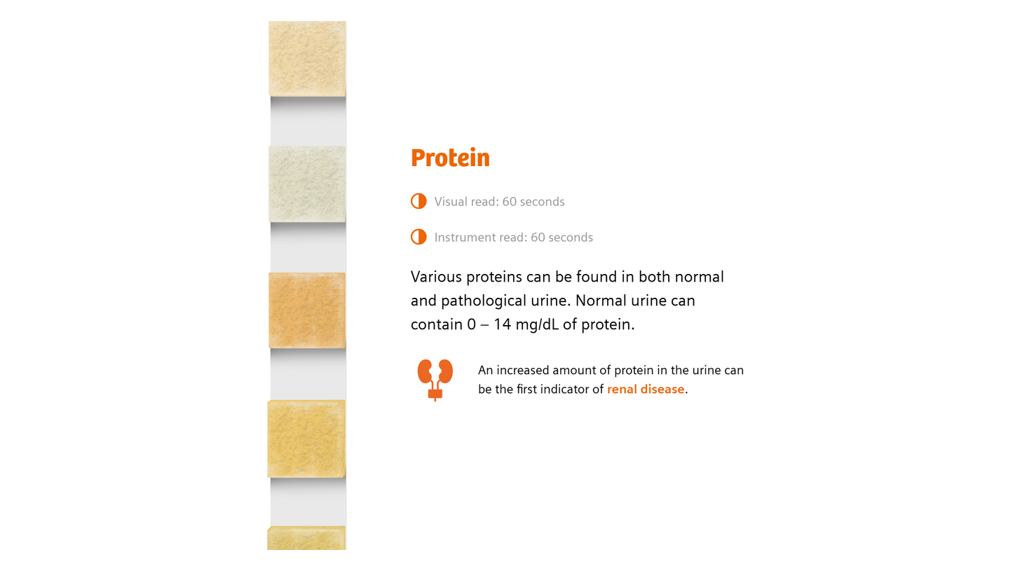 Infographic with details about the Protein pad