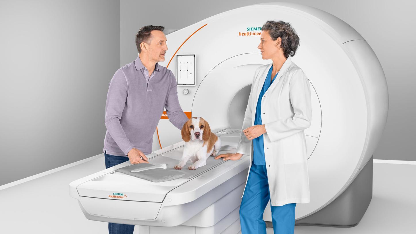 Our veterinary MRI systems empower you with the precision imaging you need to go beyond the limitations of X-ray and ultrasound to reveal the hidden details of soft tissue