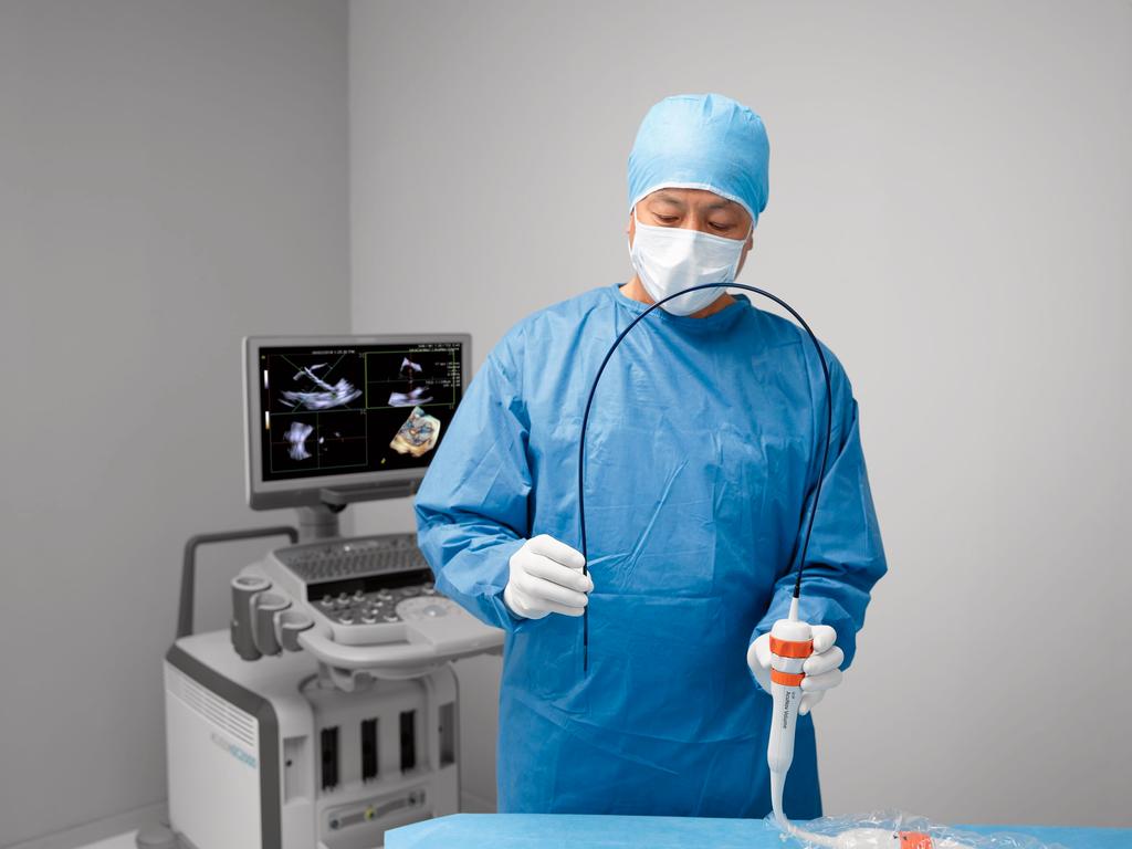 Milestones in Intracardiac Echocardiography Siemens Healthineers