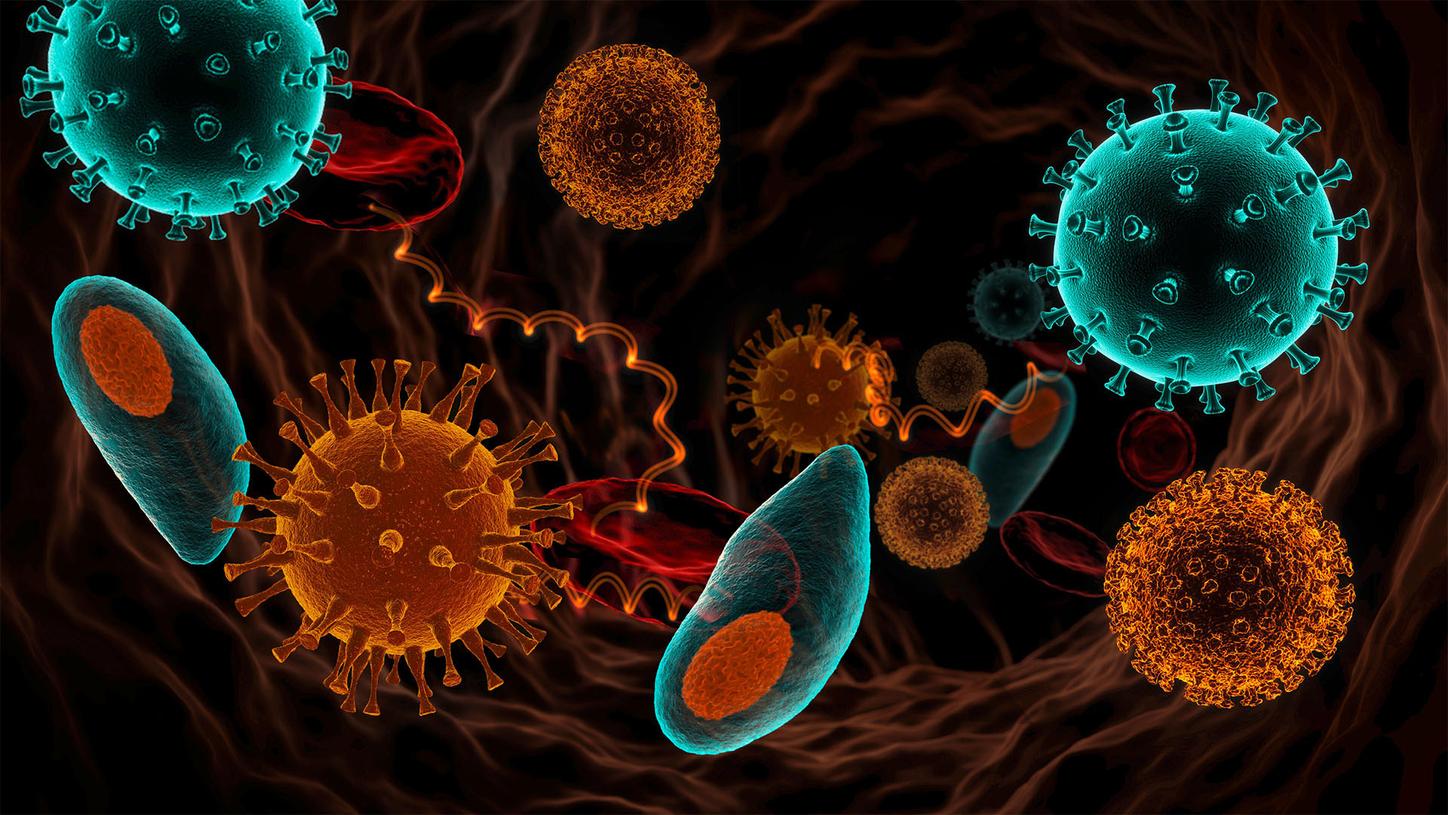 Precision and method comparison studies for the Atellica IM HBcT2 assay were evaluated using the Atellica CI Analyzer.