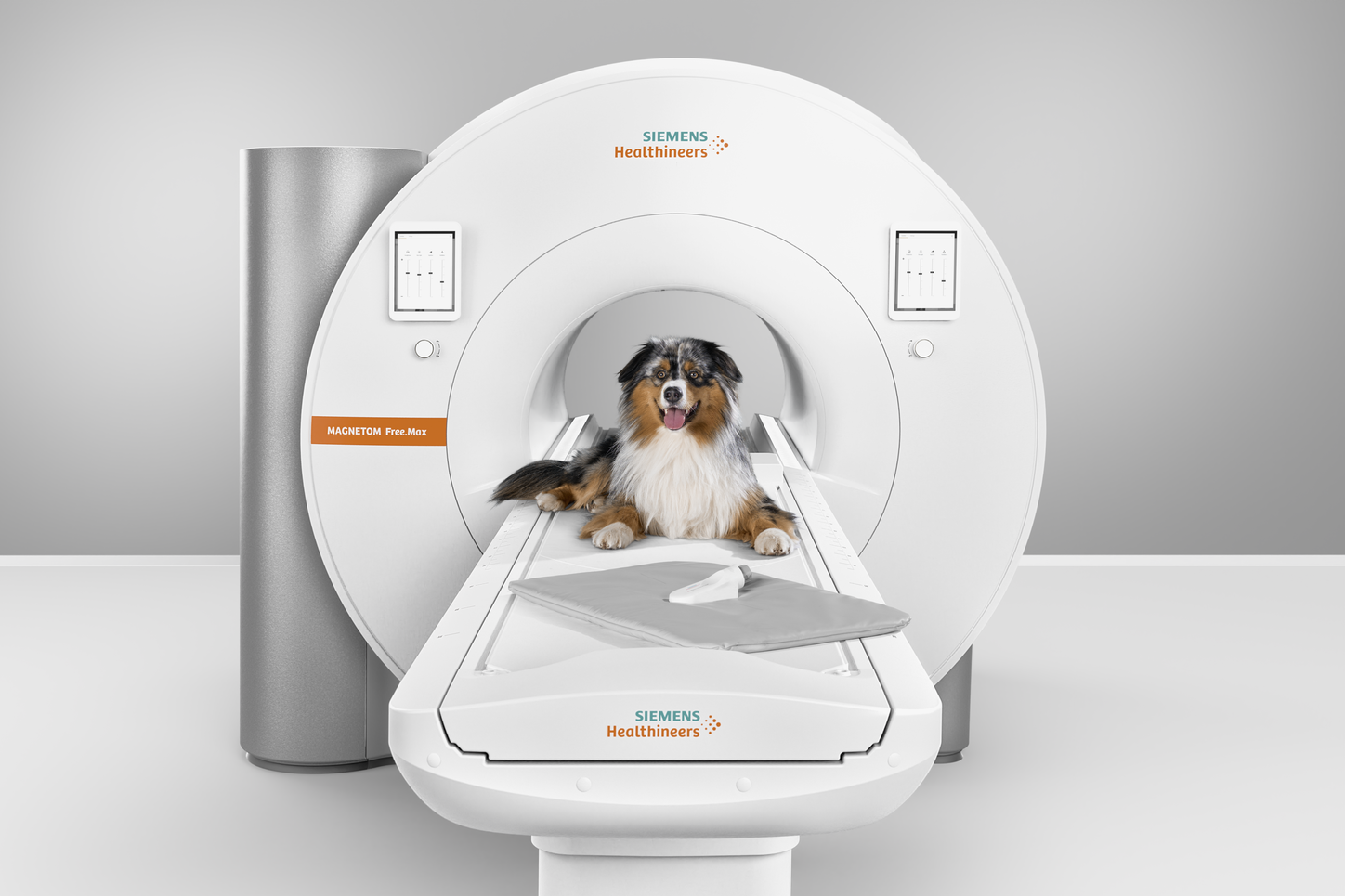 MR MAGNETOM Free Max Vet