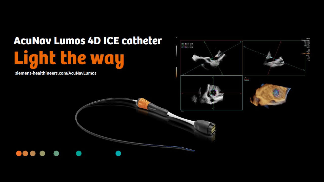 Brochure cover for the AcuNav Lumos 4D ICE catheter flyer
