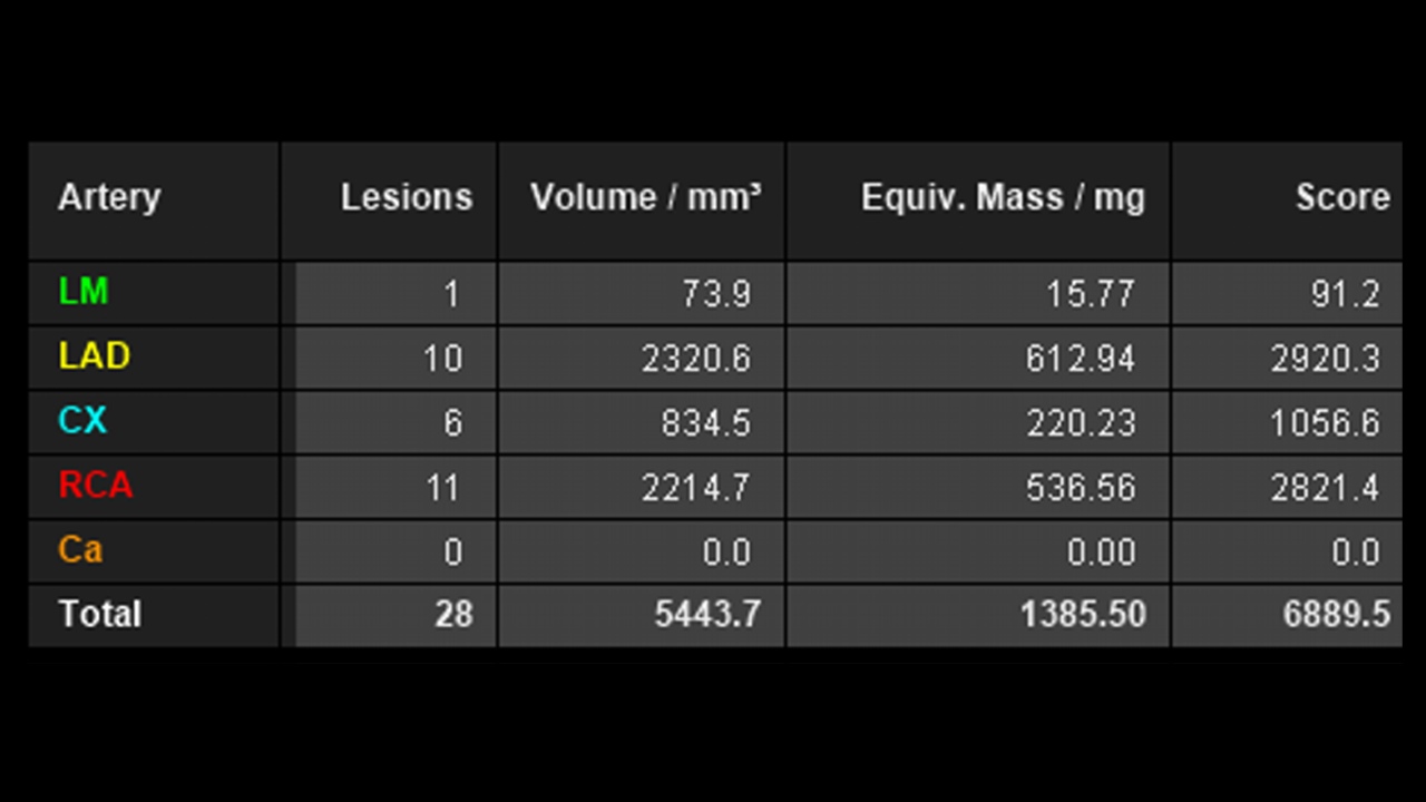 Computer assisted diagnosis (CAD)
