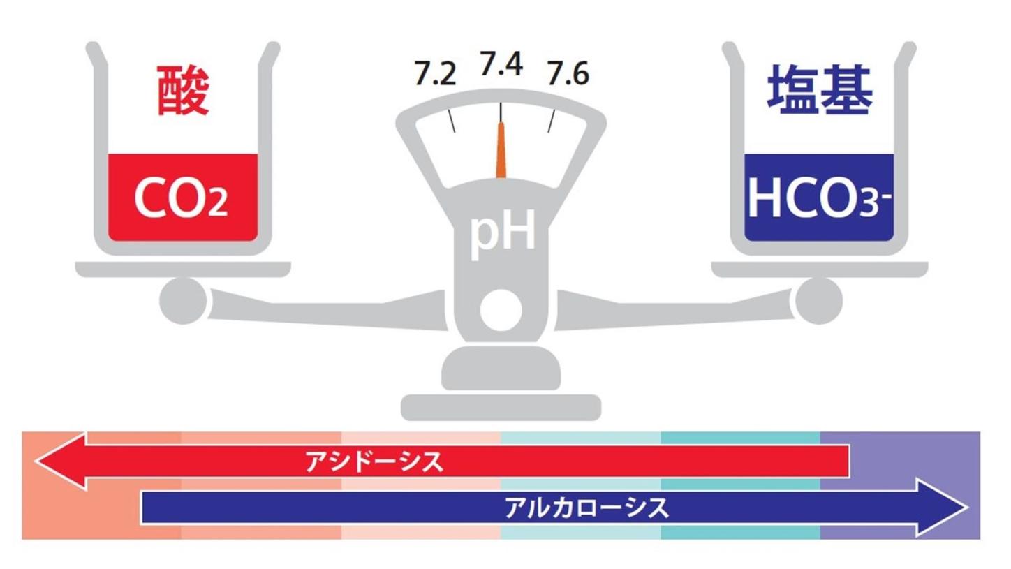 血液ガス分析かわら版⑥血液の酸性度