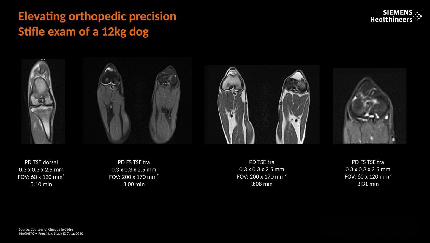Elevating orthopedic precision. Strifle exam of a 12kg dog.
