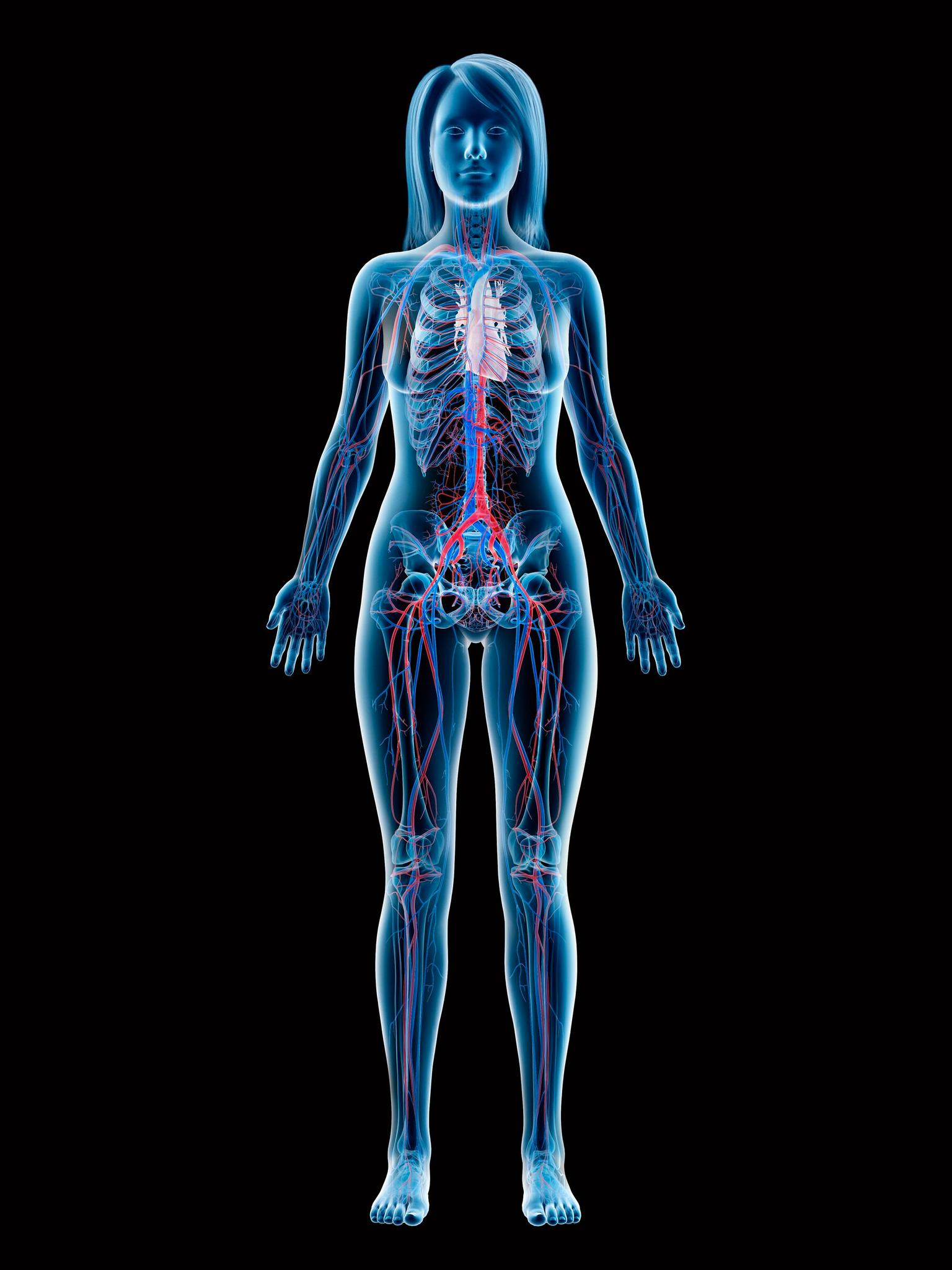 za_keyvisual_vascular