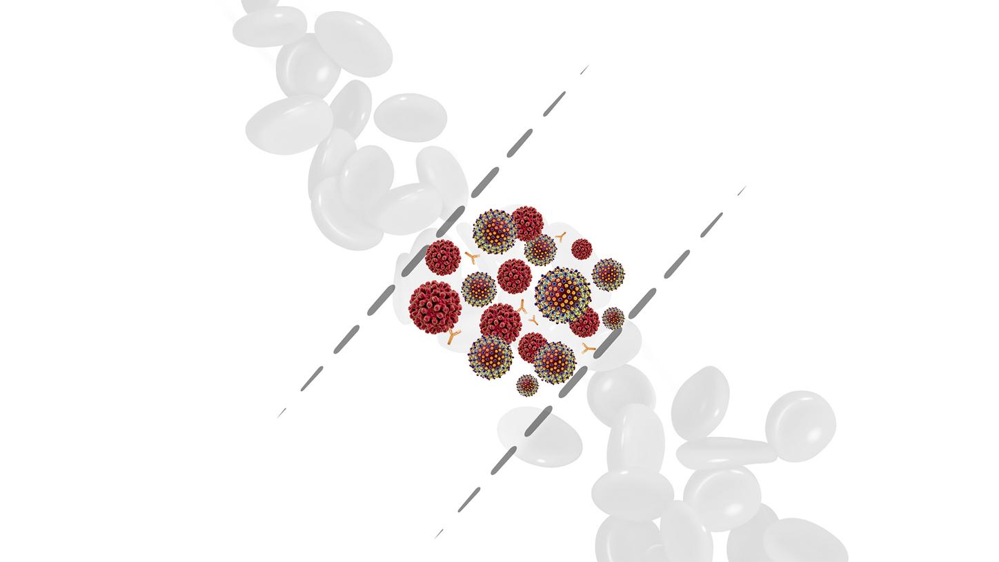 This report presents the performance of three assays used for the measurement of anti‑hepatitis C virus (HCV) antibodies.