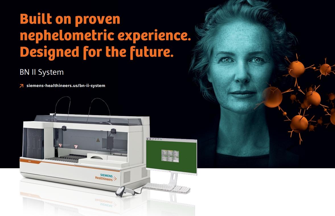 BNII Systems Brochure Screenshot