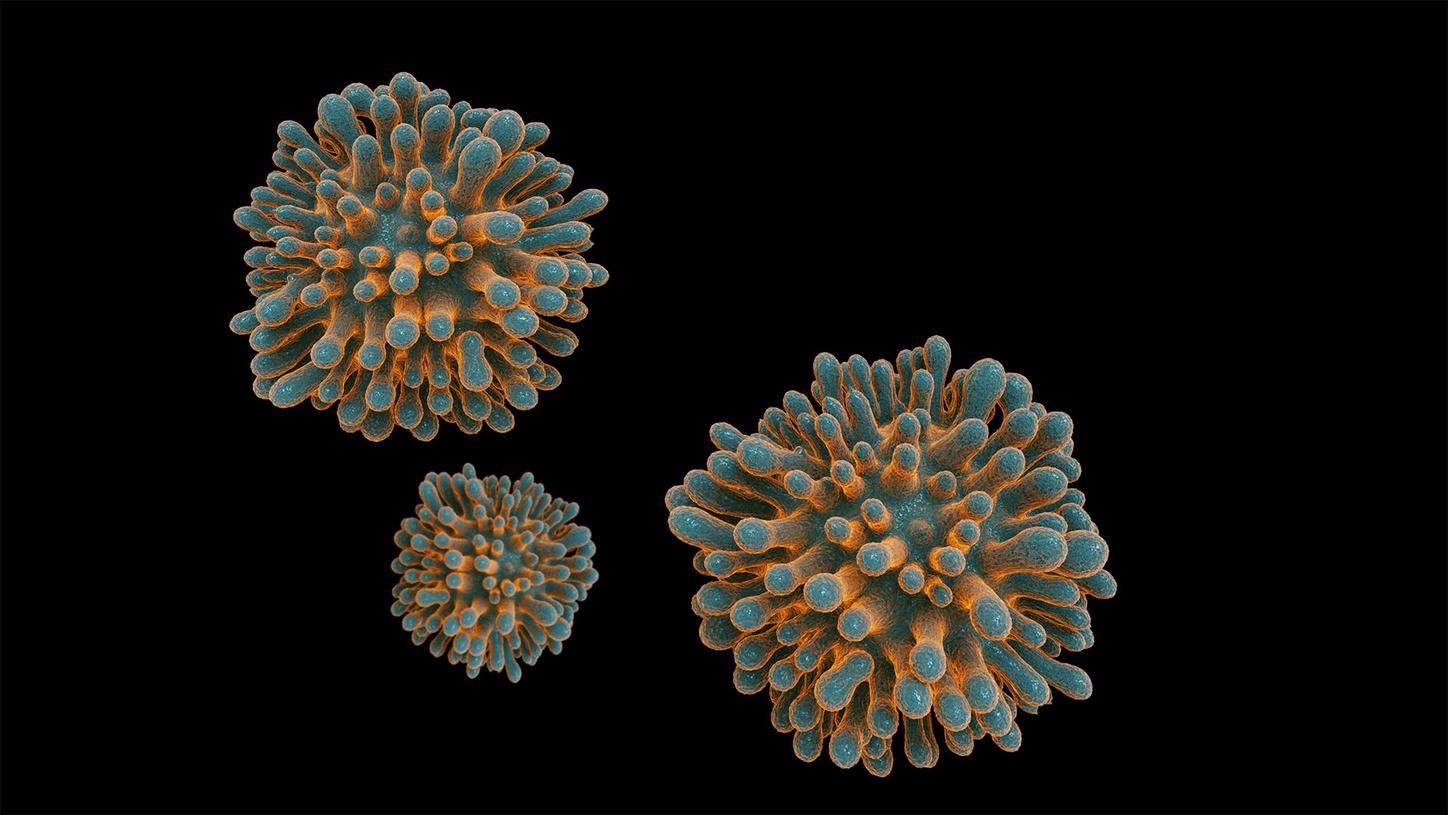 Comparative evaluation of Elecsys, Atellica,  and Alinity assays for measuring the  anti-Hepatitis C virus (HCV) antibody