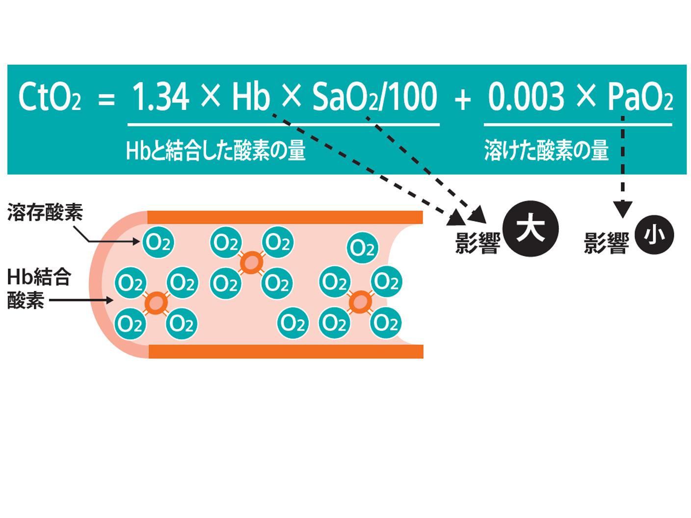 血液ガス分析かわら版⑤ctO2とは
