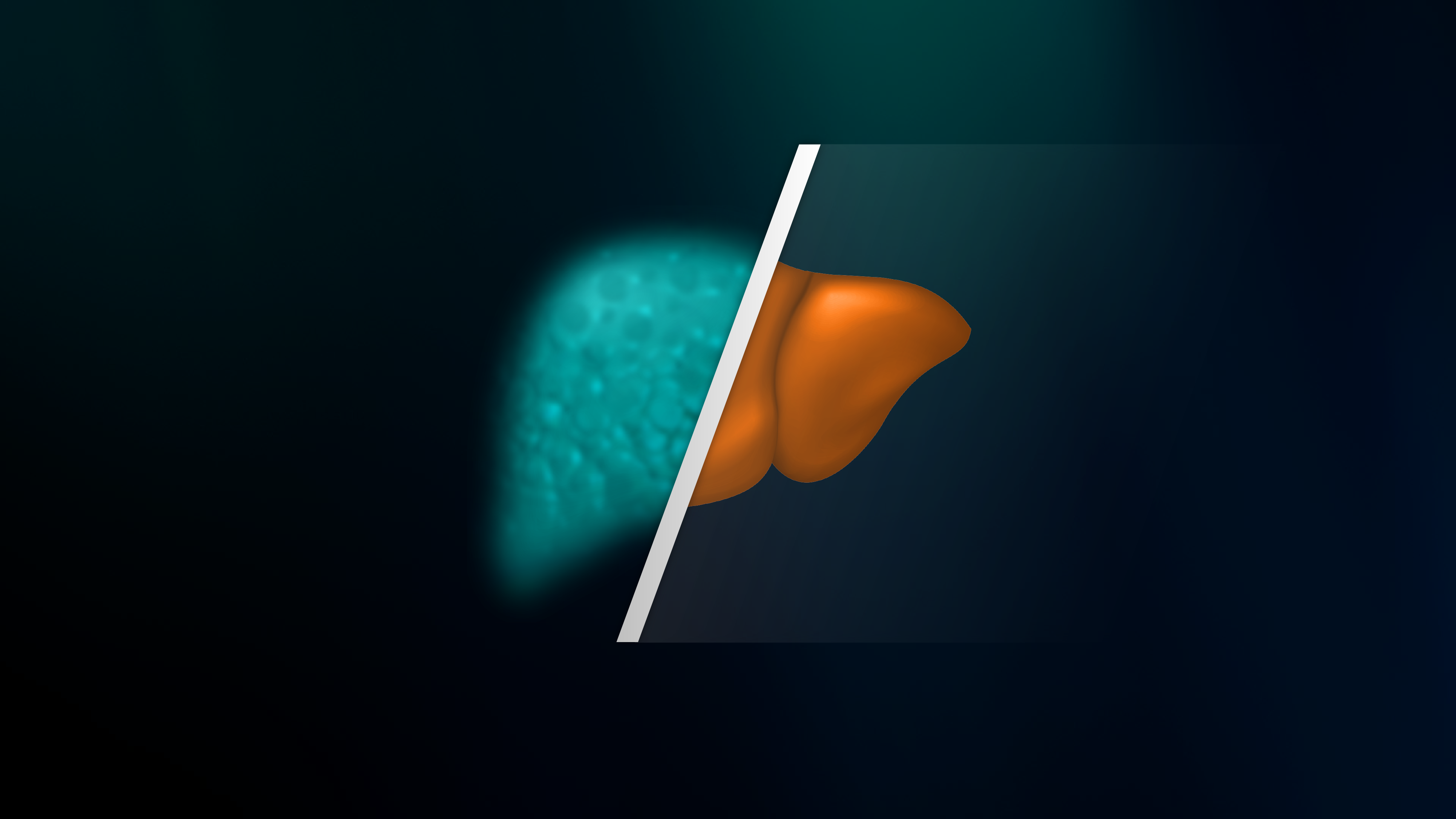 ELF Test - Siemens Healthineers USA
