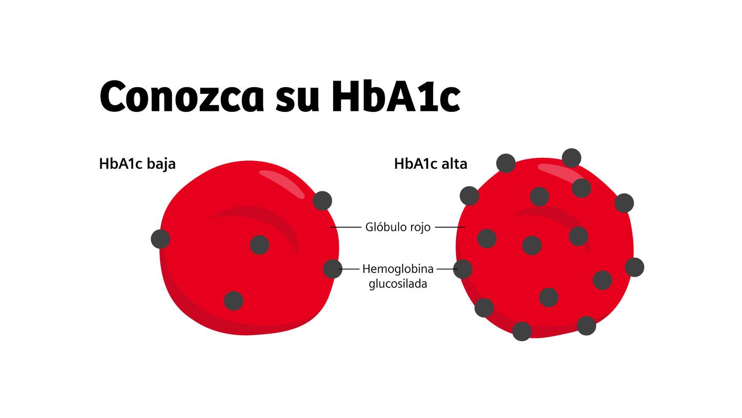 Illustration of 2 red blood cells. One represents low HbA1c and has a few blue circles representing glycated hemoglobin. The other shows high HbA1c with more blue circles on the red blood cell.