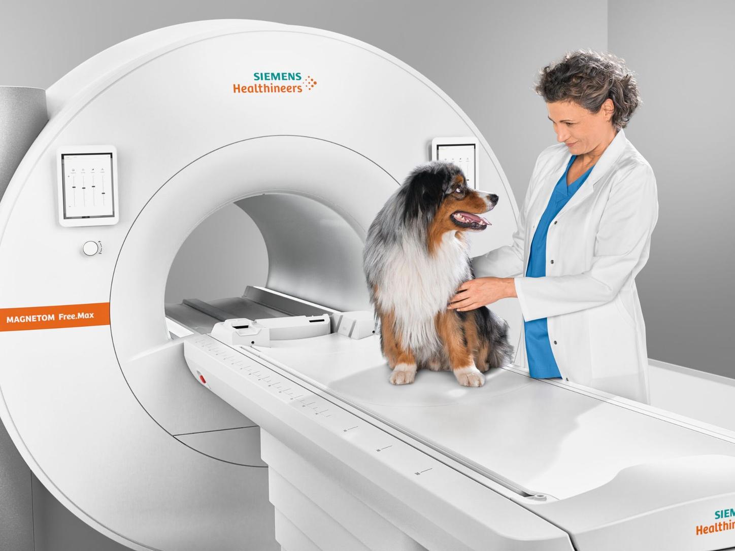 dog on MRI table