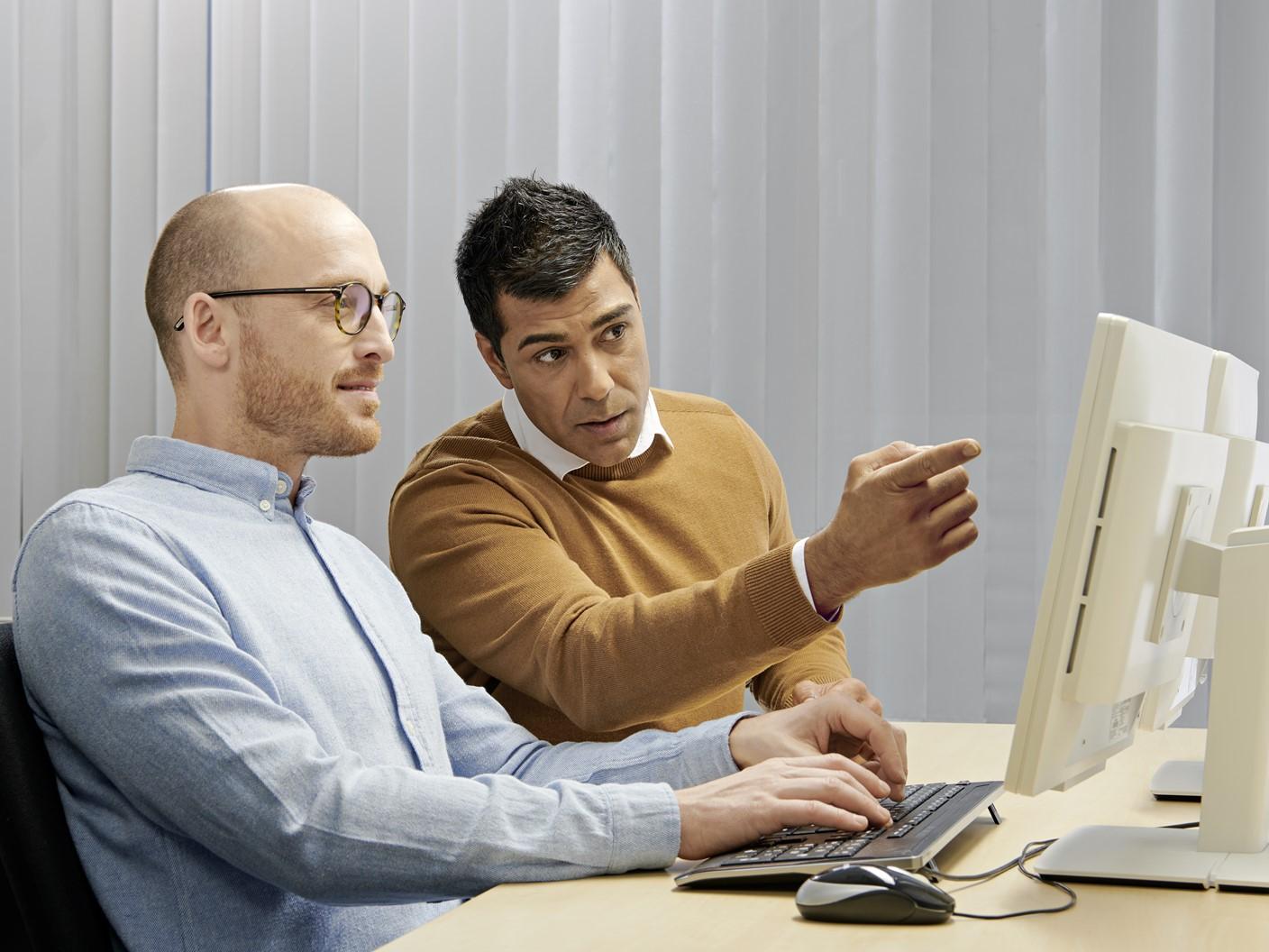 Technical expert educating an in-house engineer from a computer