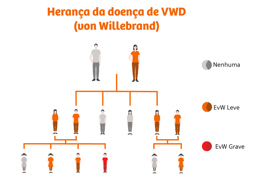 Doença De Von Willebrand – Von Willebrand Syndrom Symptome – SNNK