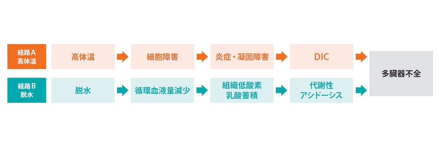 血液ガス分析かわら版⑨臓器ダメージ