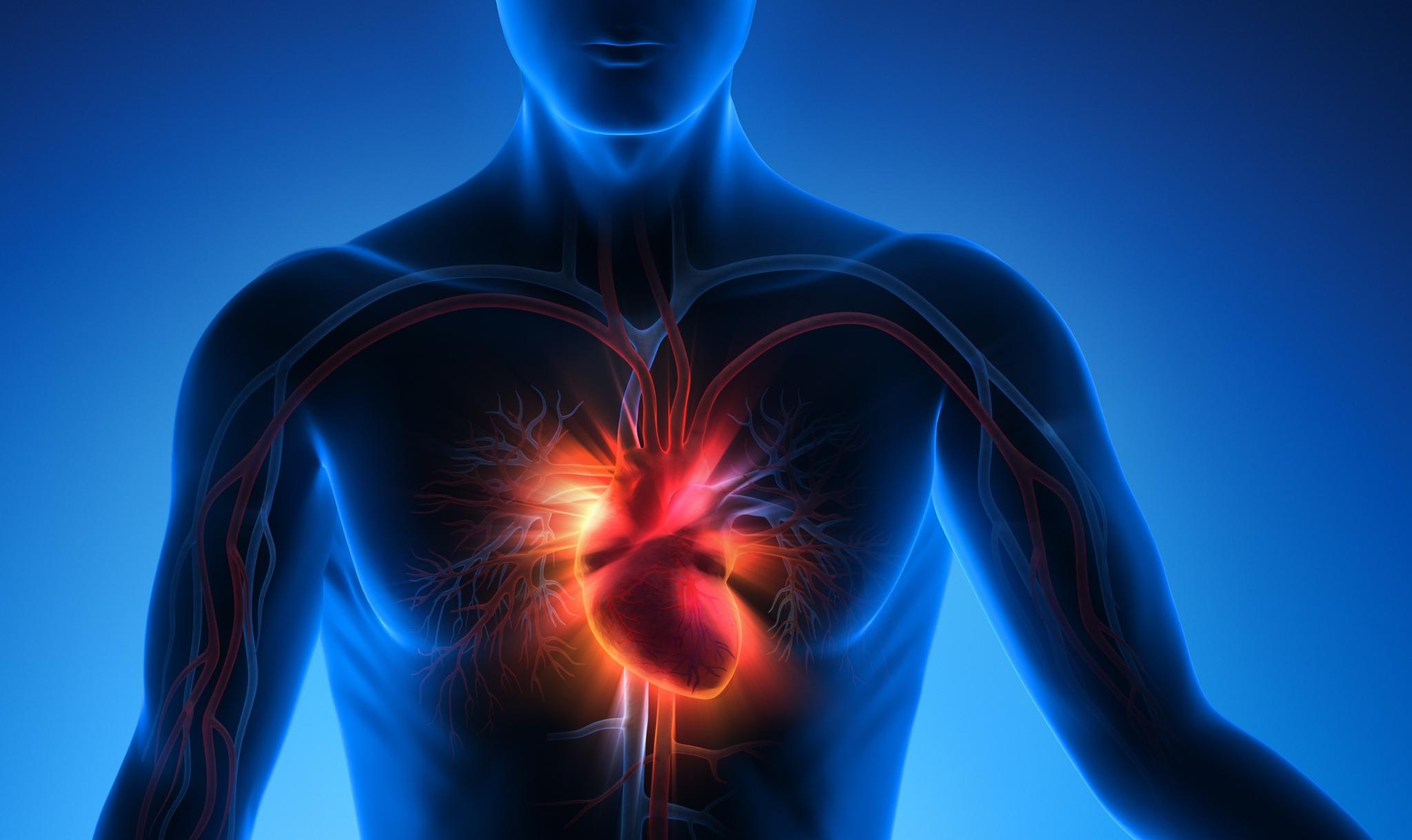 Cardiovascular Care Siemens Healthineers