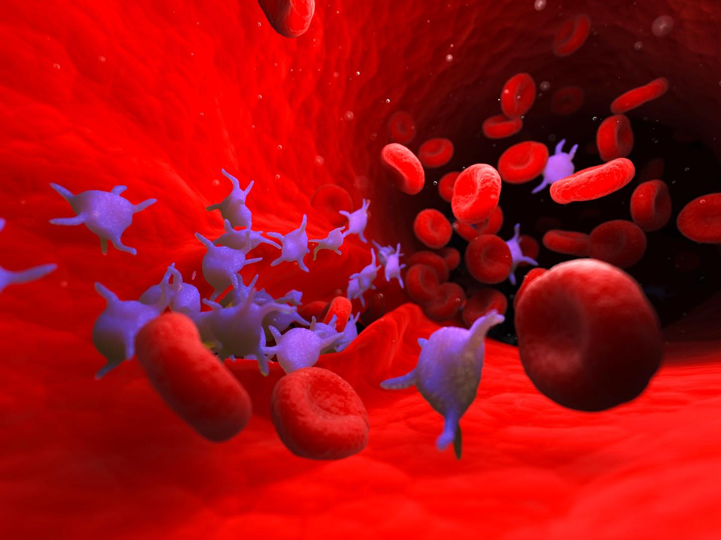 Hemophilia Gene Therapy