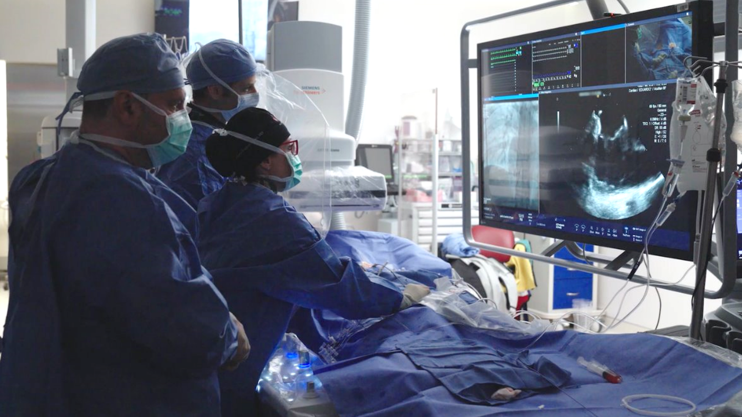 medical team in an operating room viewing large wall-mounted displays