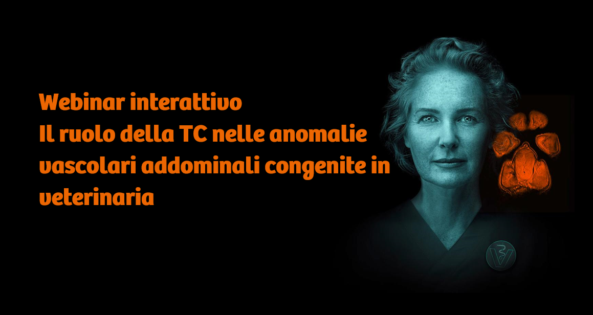 banner webinar specchi 26