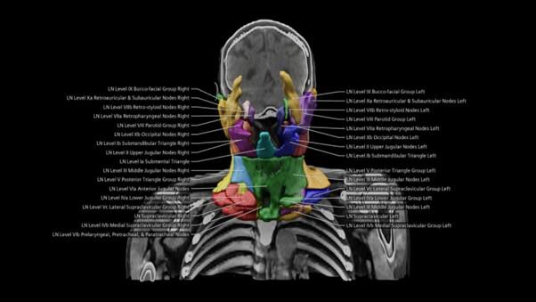 FR_AMELIORER LA QUALITE DES DONNEES 