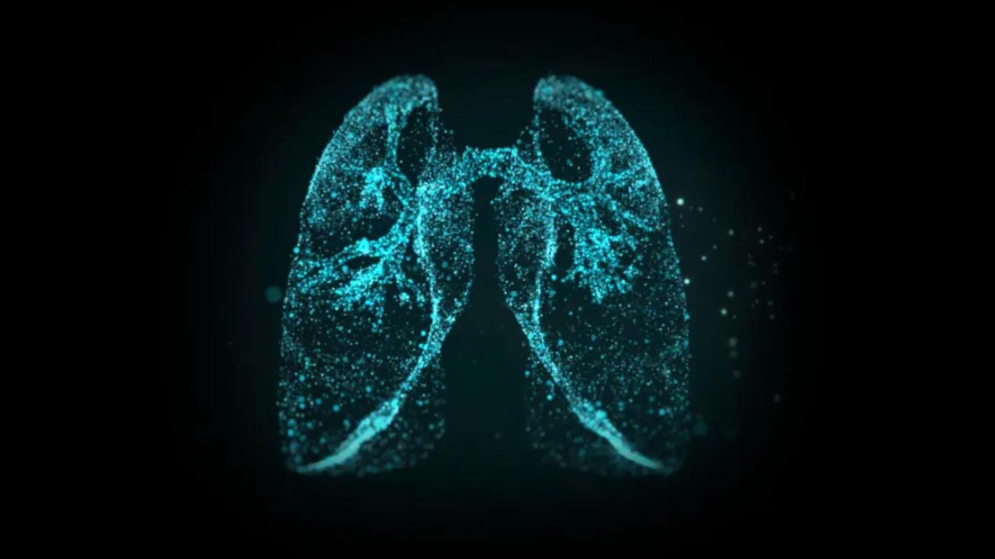 Digitally stylized lungs