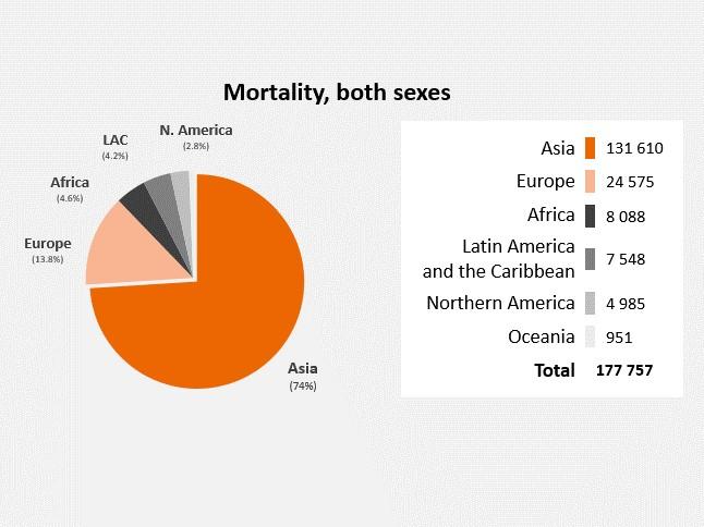 Head and Neck cancer mortality