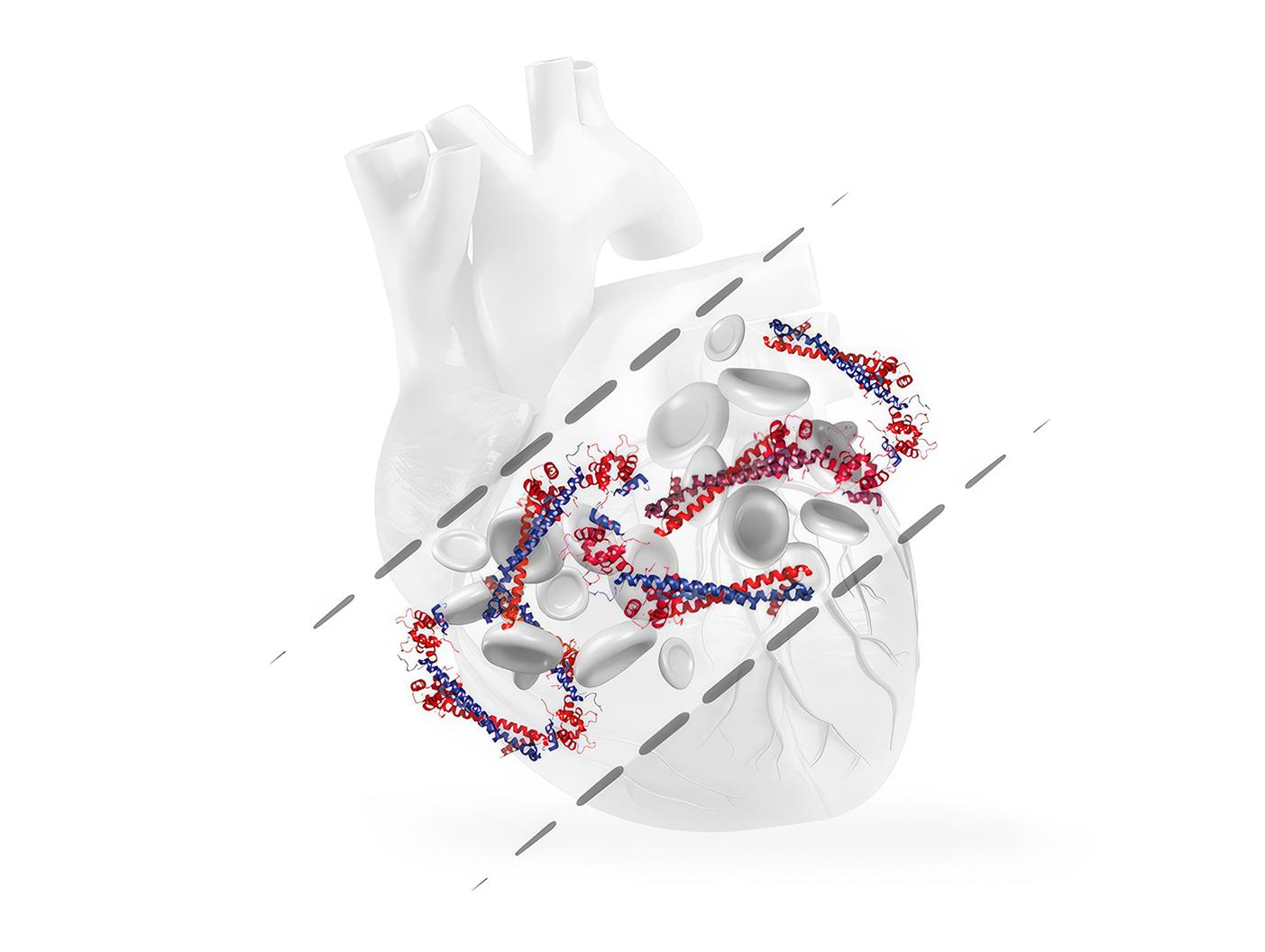 Atellica IM High-Sensitivity Troponin I (TnIH) Assay A novel prognostic tool expands clinical utility