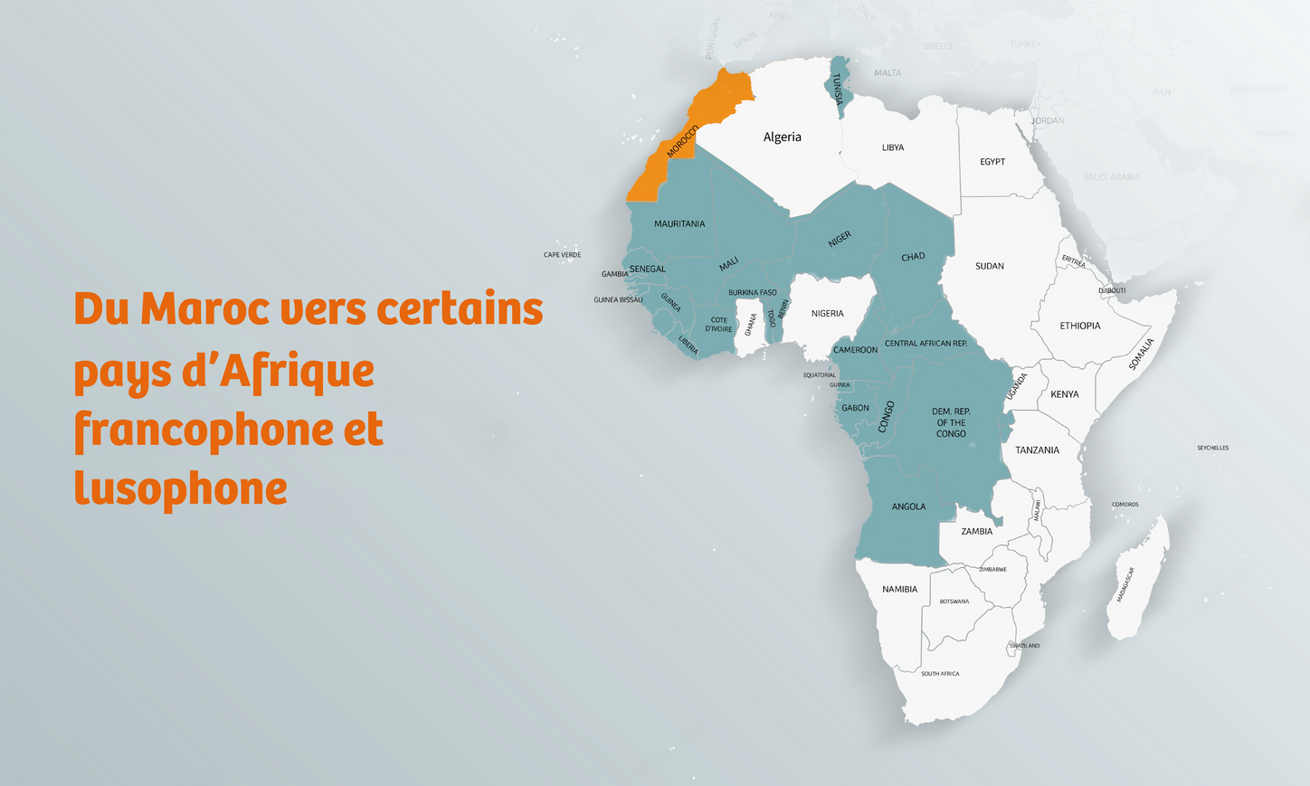 afrique