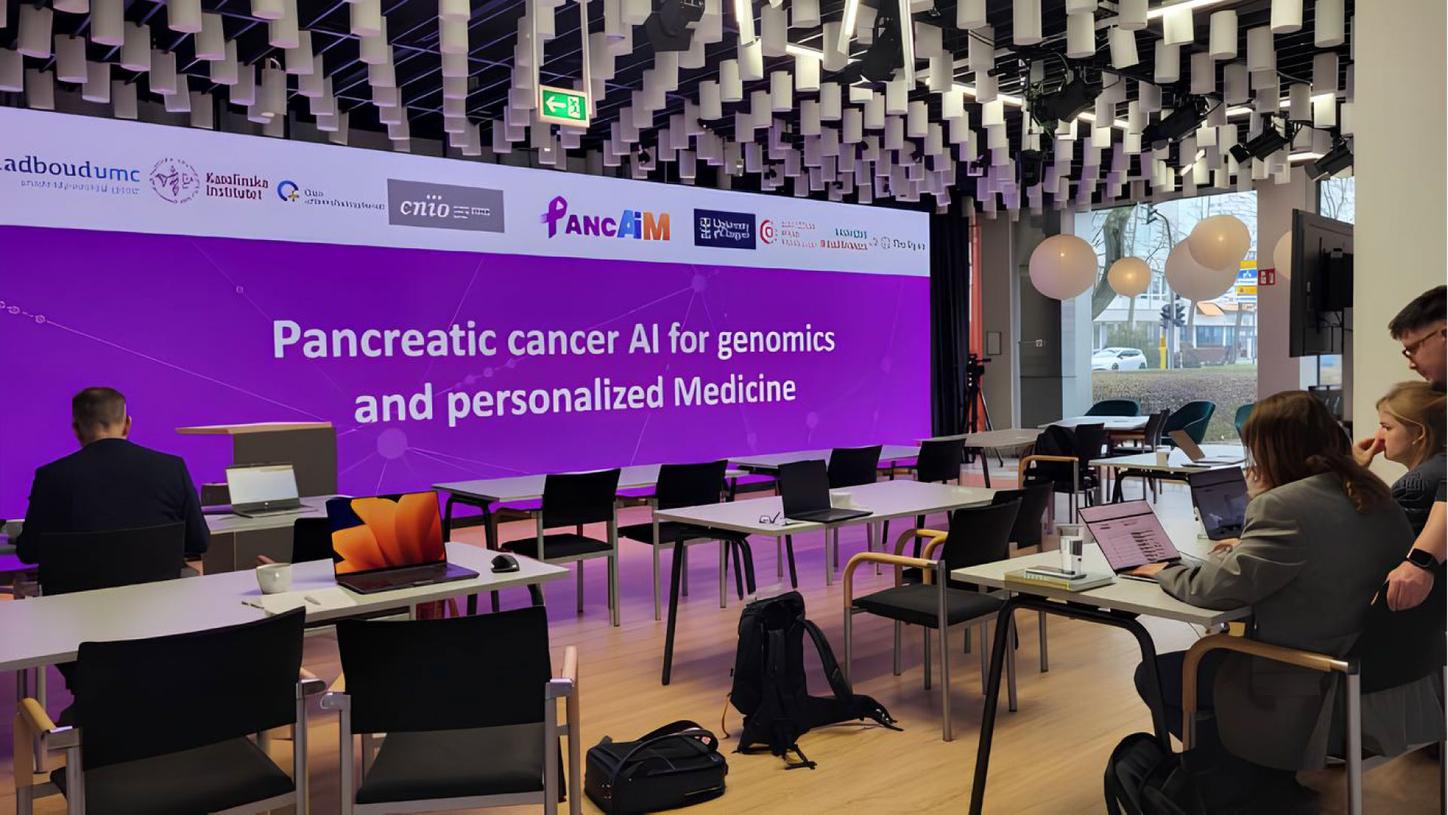 Siemens Healthineers SHIFT Public Funding PANCAIM