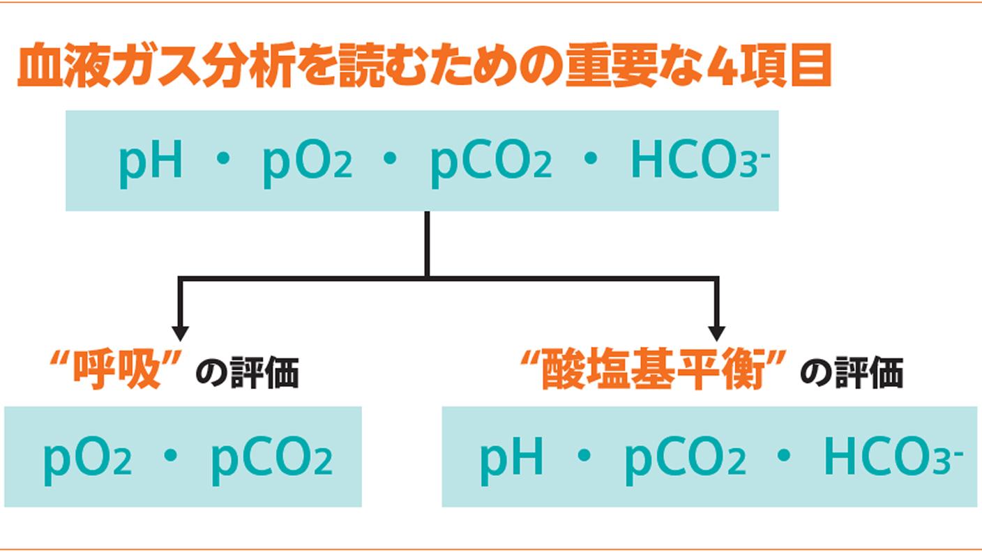 血液ガス分析かわら版⑤4項目