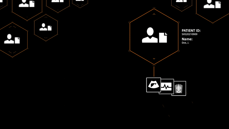 Syngo Carbon Physician Access 