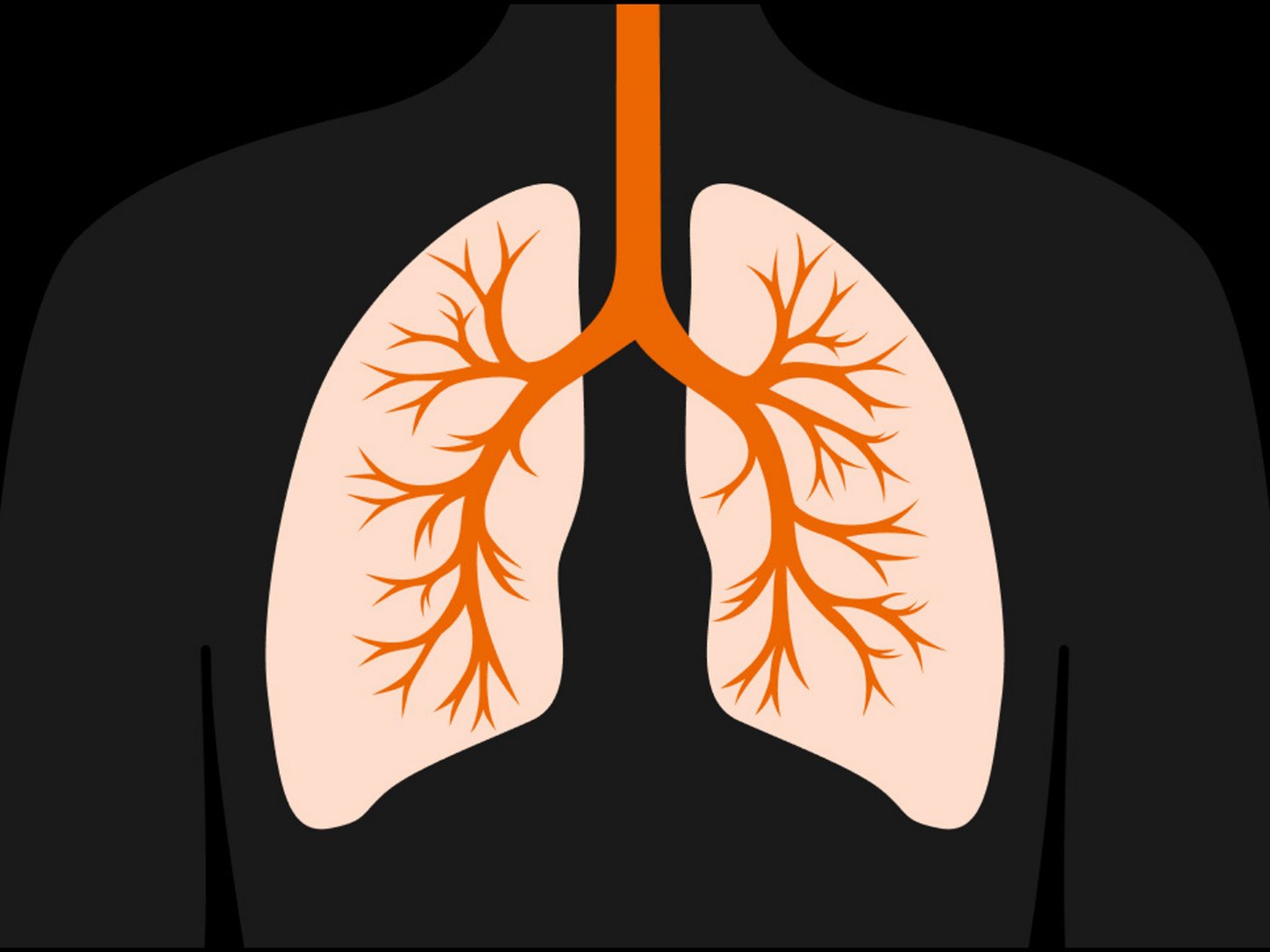 lung Illustration