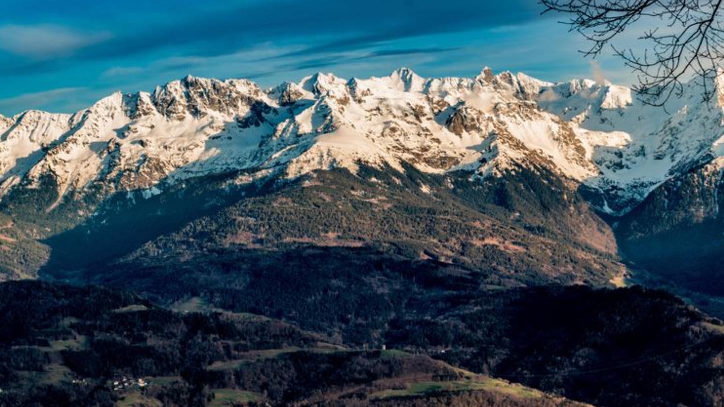 Grenoble Hospital aimed to improve the management of patients presenting with chest pain at its ED