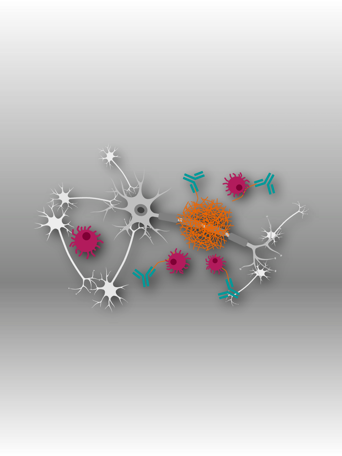 Illustration of how Disease-Modifying Therapies (DMT) work: Antibody attracts immune cells to break down the protein