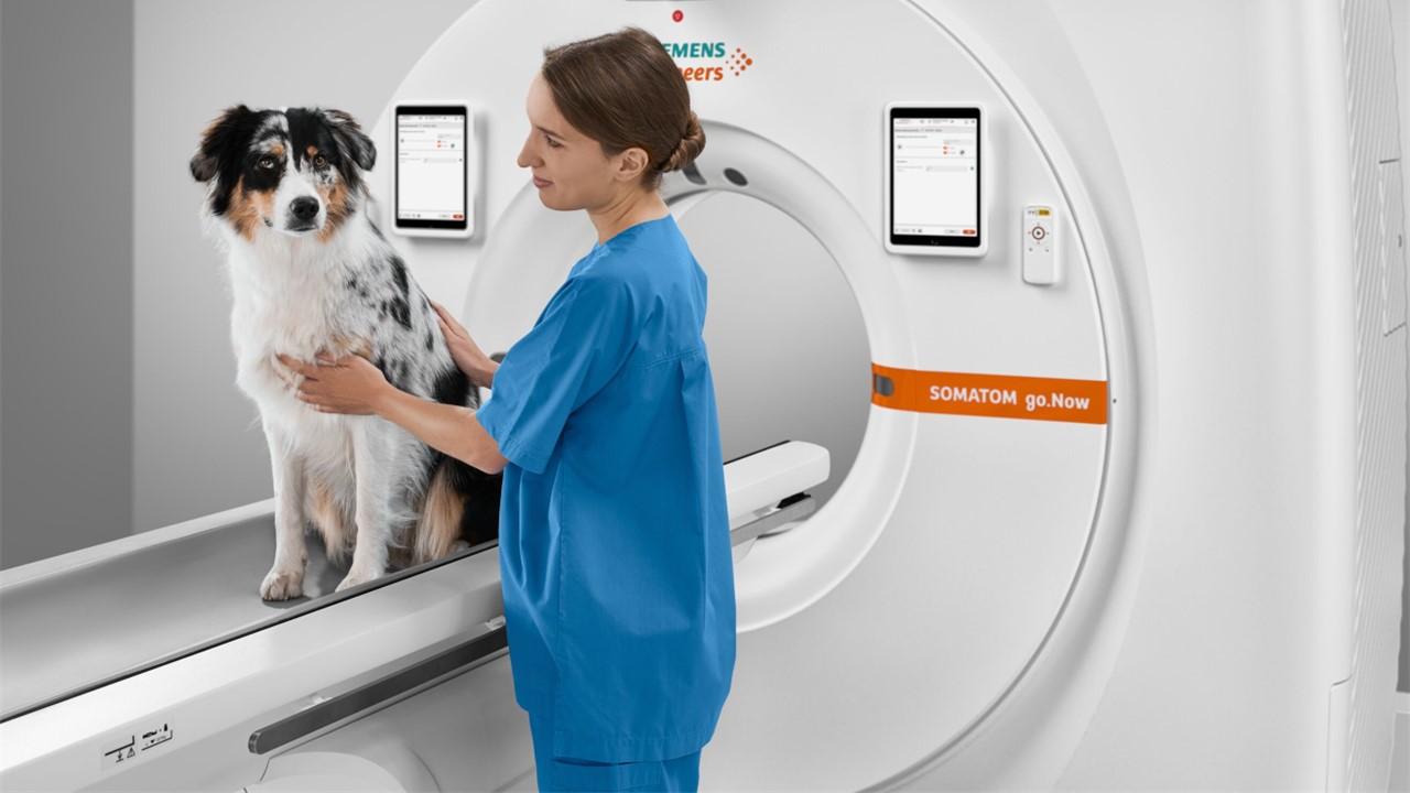 SOMATOM go.Plattform für Tiere