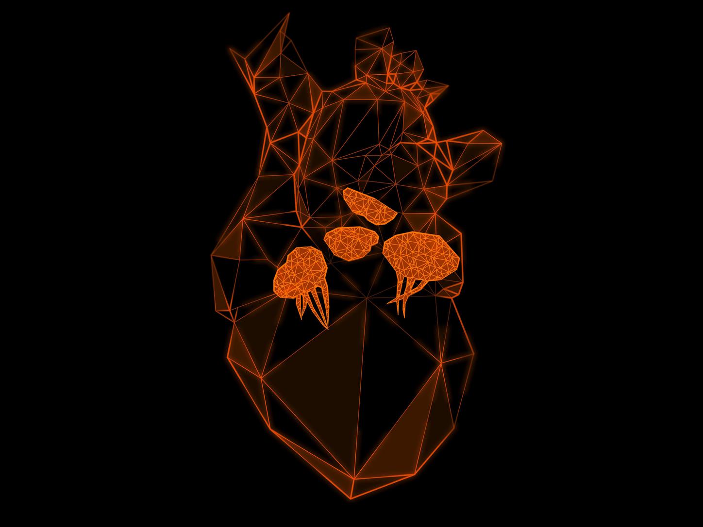 Strukturelle Herzerkrankungen